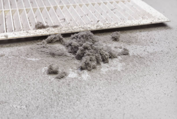 Ductwork Cleaning Services in Tower Lakes, IL