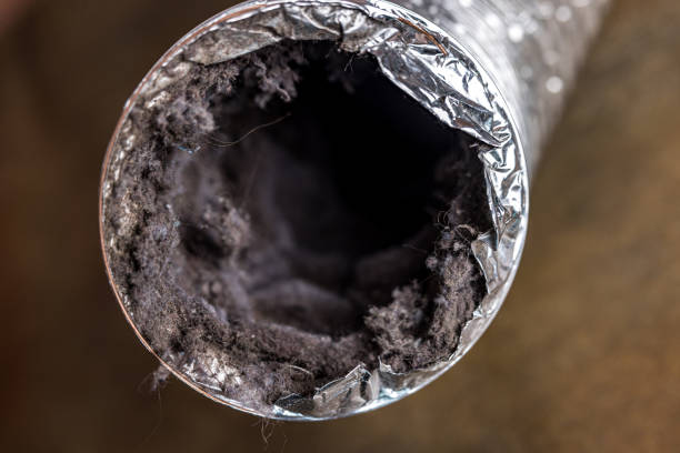 Best HVAC Duct Inspection Services  in Tower Lakes, IL
