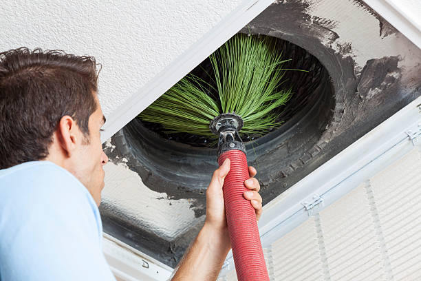 Best Professional Duct Cleaning Services  in Tower Lakes, IL